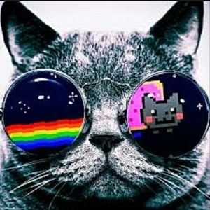 Meet your Posher, Mario